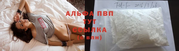 spice Арсеньев