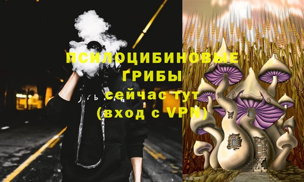 spice Арсеньев