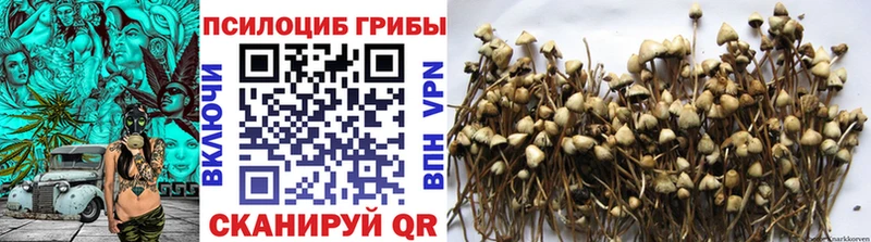 Галлюциногенные грибы Psilocybine cubensis  где купить наркотик  Мурманск 